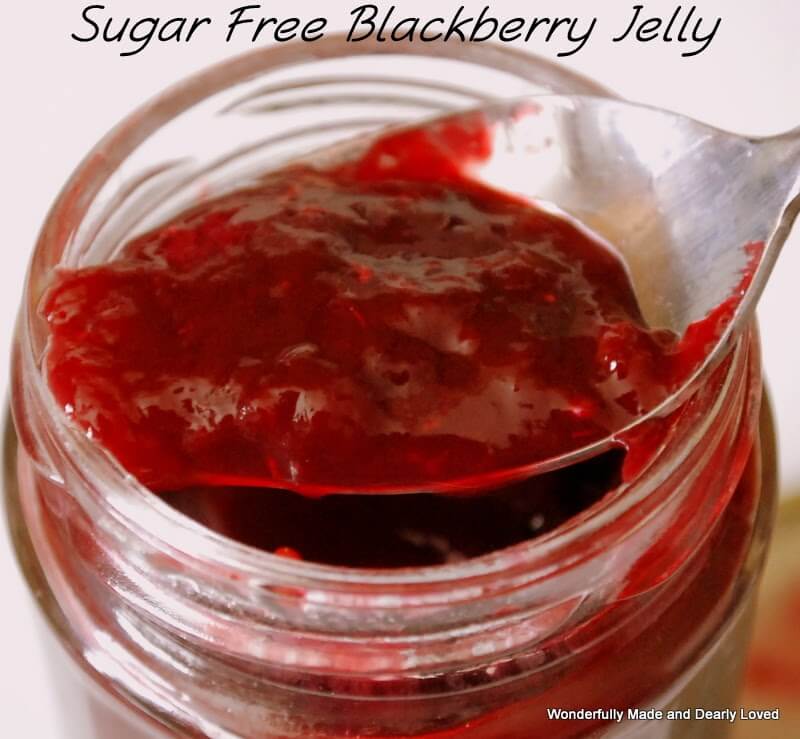 Senza zucchero Blackberry Jelly 