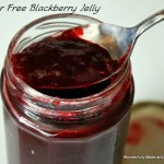 Sugar Free Blackberry Jelly (THM- FP)
