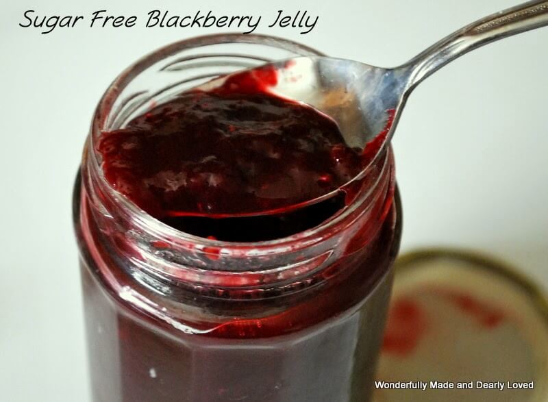 sockerfri Balckberry Jelly
