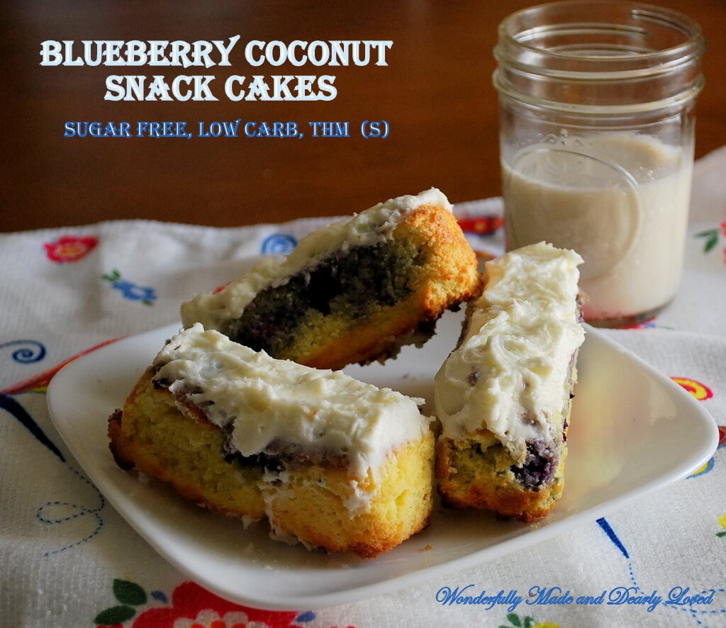 Blueberry Coconut Snack Cakes