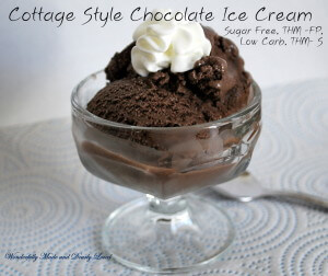 Cottage Style Chocolate Ice Cream (2)