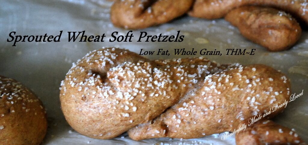 Pretzels made from Sprouted Wheat Dough