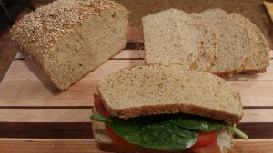 SimpleSoda Bread for Sandwiches (Gluten Free, Sugar Free, THM~S)