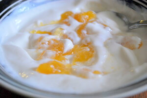Jelly Style Greek Yogurt Swirl {THM~E, Page 252}