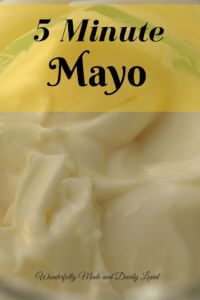 5 Minute Mayo (THM S, Sugar Free) 