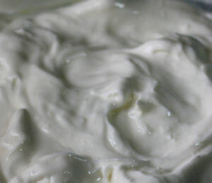 Homemade Greek Style Yogurt (FP)