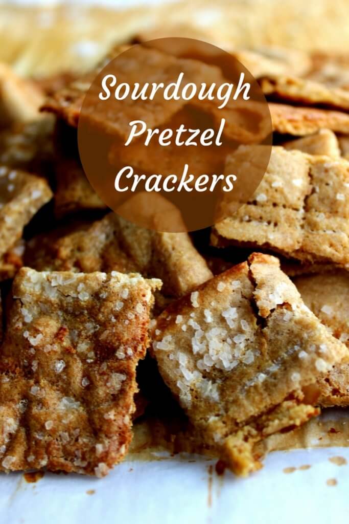 Sourdough Pretzel Crackers make a wonderful energizing trim and healthy snack.