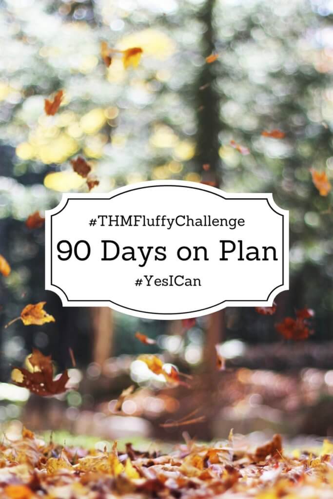 90 Day THM Plan Challenge the the #THMFluffyChallenge Goroup