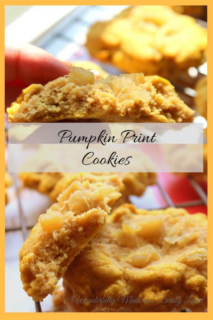 Ginger Studded Pumpkin Print Cookies (THM S, Low Carb)