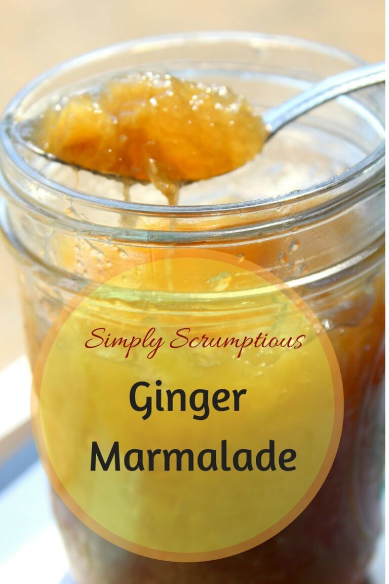 Simply Scrumptious Ginger Marmalade - Wonderfully Made and Dearly Loved