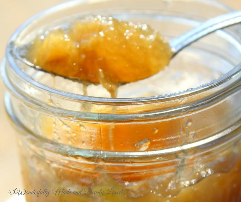 Simply Scrumptious Ginger Marmalade(THM, Low Carb, Low Fat)