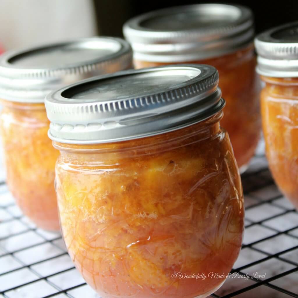 Spiced Peach Preserves (Low Fat, THM E)