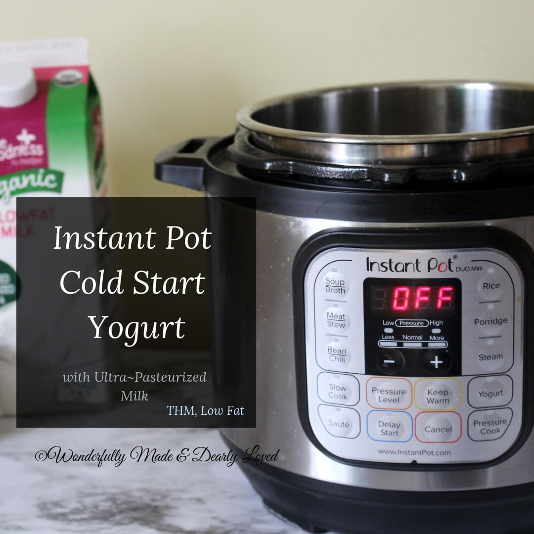 Instant pot mini yogurt sale