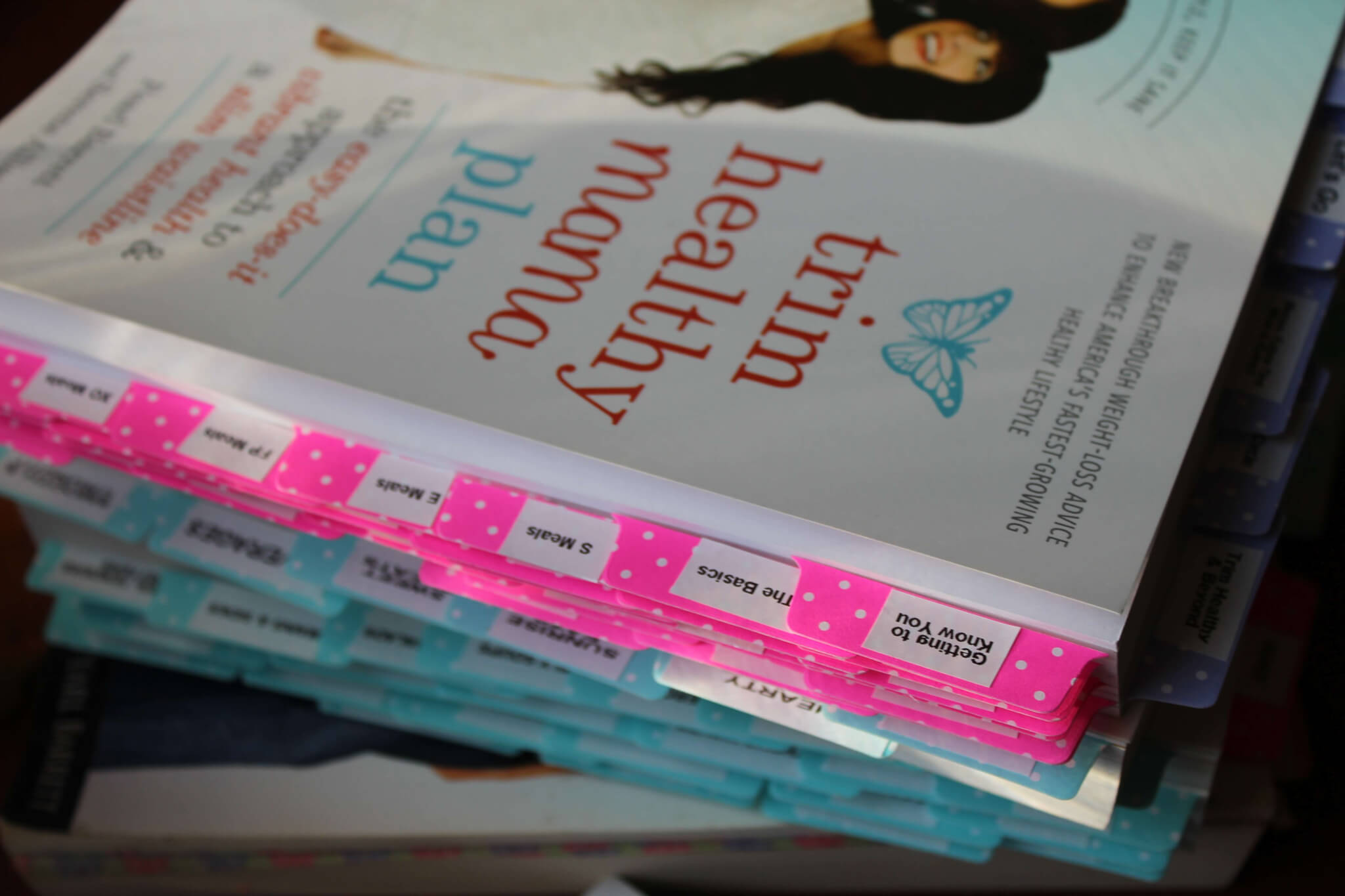 Trim Healthy Book Study {2019} Wonderfully Made and Dearly Loved