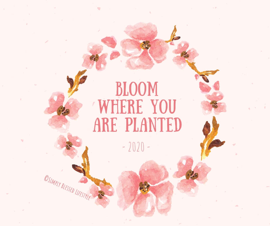 Bloom Where You Are Planted 2020