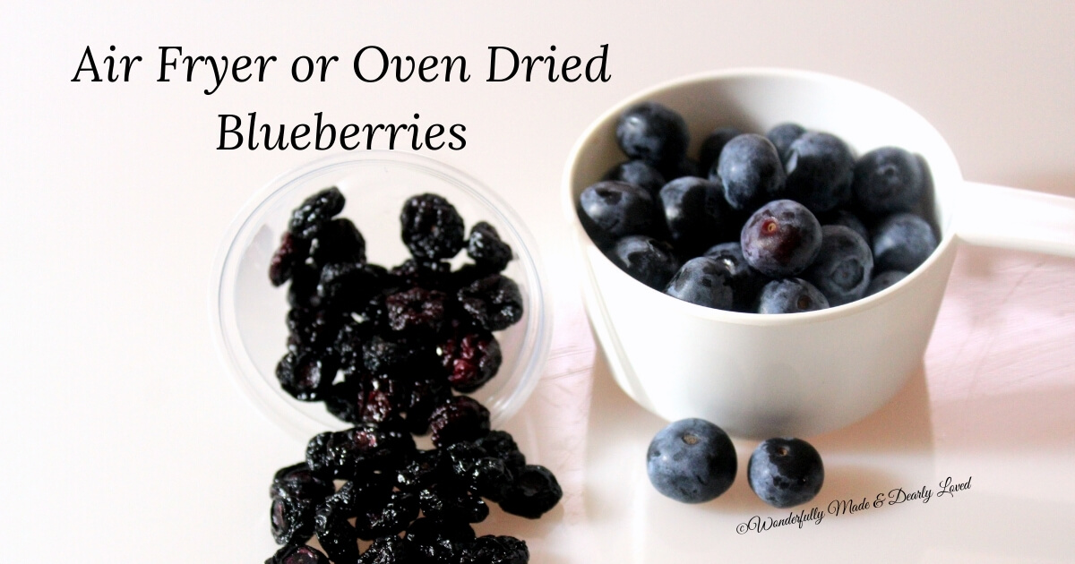 Air Fryer or Oven Dried Blueberries